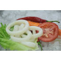 (Squid tube squid wings) gefrorener illex squid